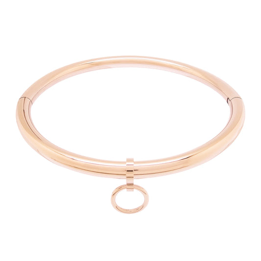 Gold Black Color Stainless Steel Locking Collar Necklace Removable O-Ring Fashion Accessory.