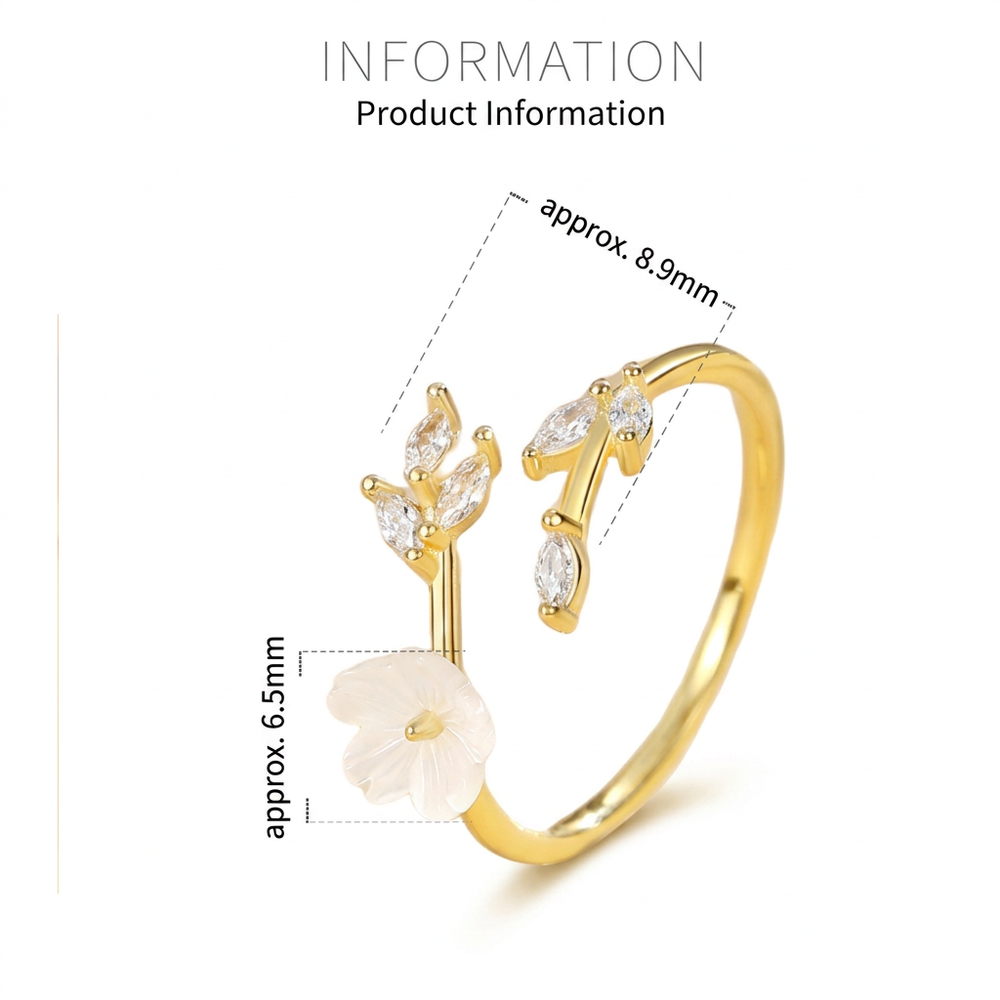 Ring dimension diagram in English