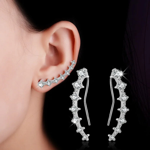Luxury 925 Sterling Silver Earrings pretty cubic zirconia Ear Stu High Quality jewellery.